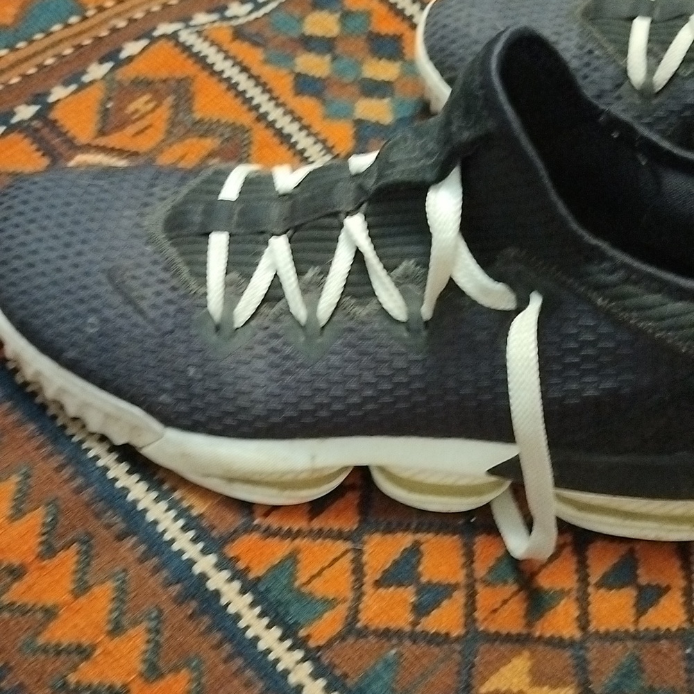 Nike LeBron James